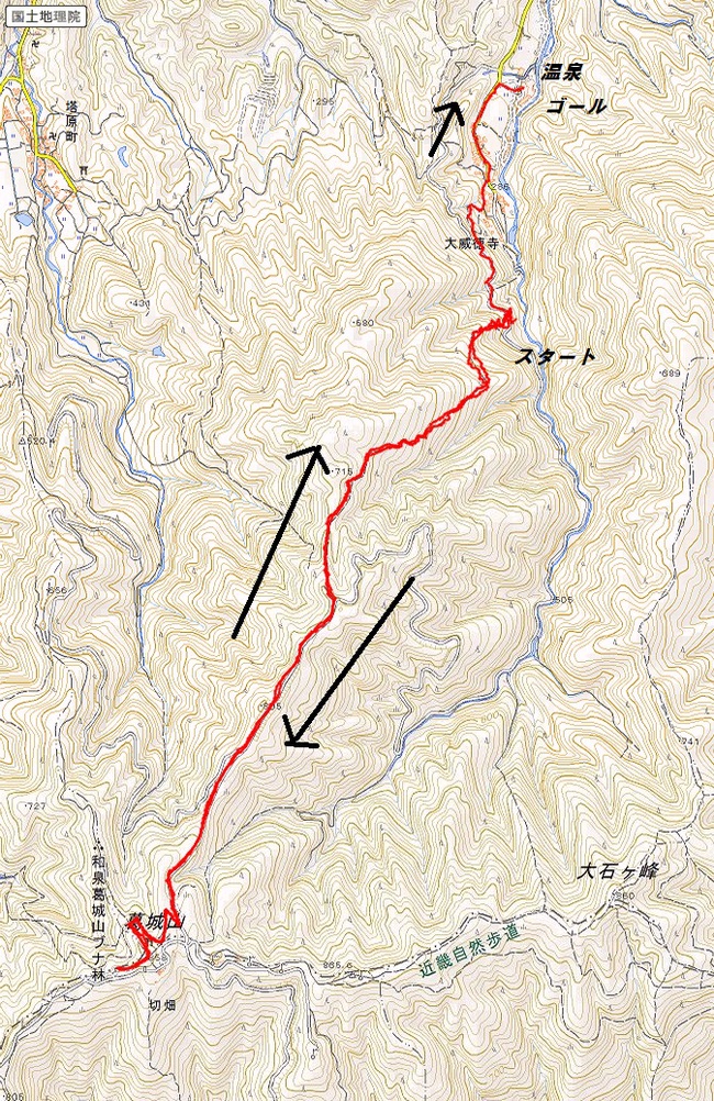 c0077338_1995879.jpg