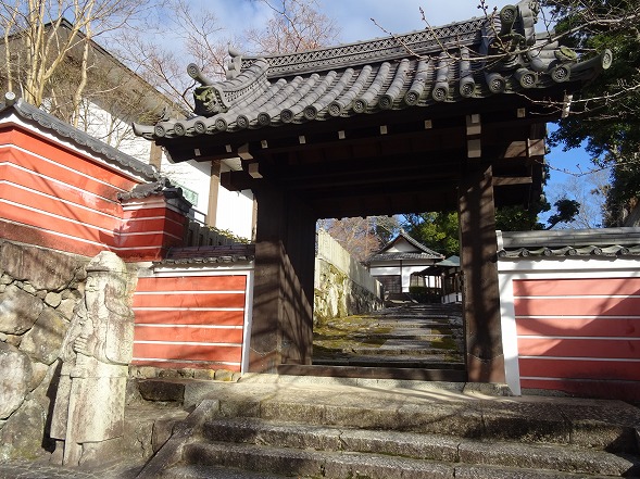 當麻寺・奥院の冬ぼたん_b0299042_7152566.jpg