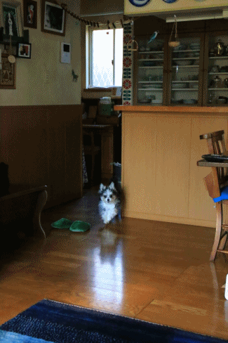 c0145250_14355182.gif