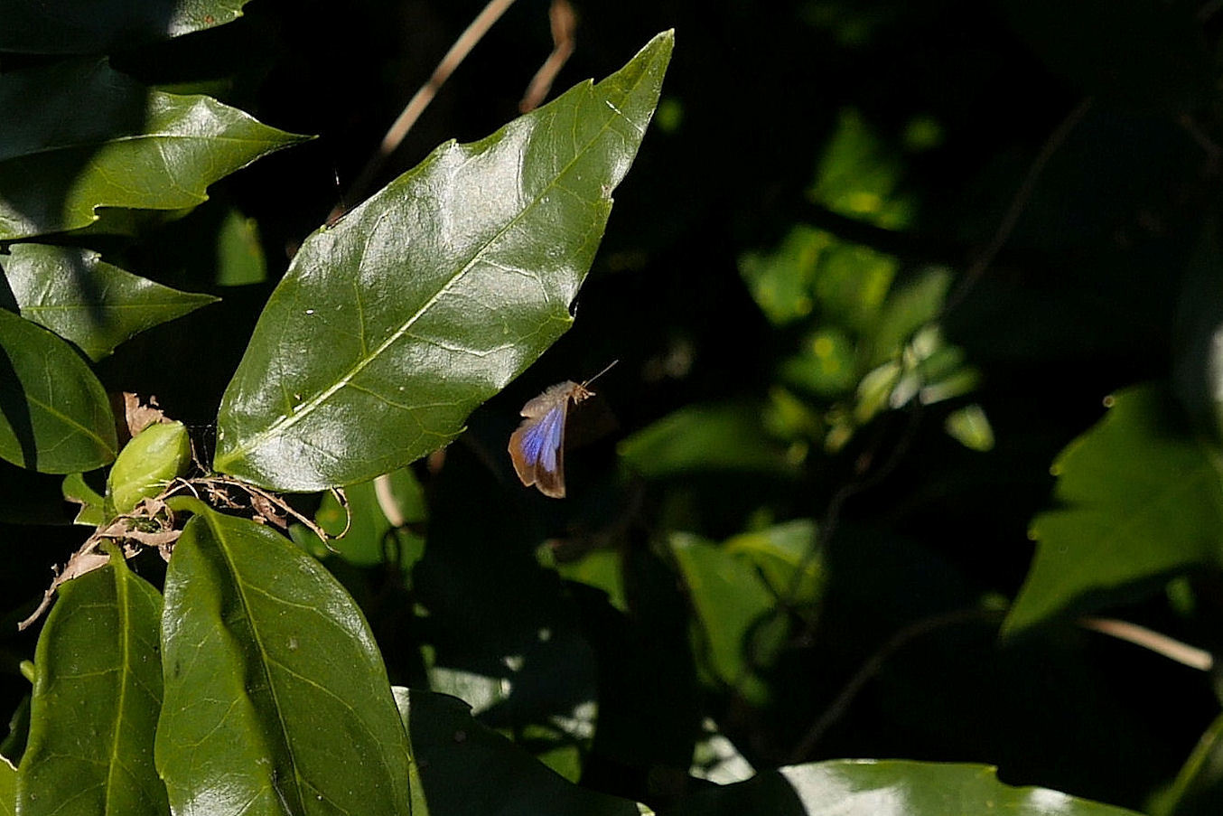 f0345350_08384520.jpg