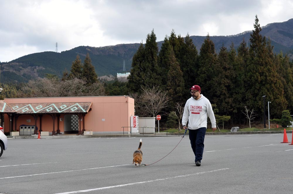 1/10.sun & 11.mon_犬と温泉とワイン_a0152253_14193551.jpg