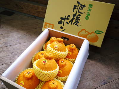 デコポン(肥後ポン) 熊本限定栽培!!樹上完熟デコポン「ひのゆたか」 “特選大玉”の発送スタートす!!_a0254656_1711099.jpg