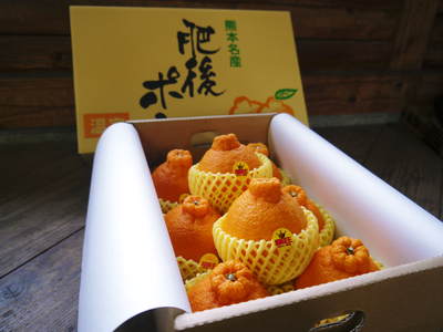 デコポン(肥後ポン) 熊本限定栽培!!樹上完熟デコポン「ひのゆたか」 “特選大玉”の発送スタートす!!_a0254656_18294919.jpg
