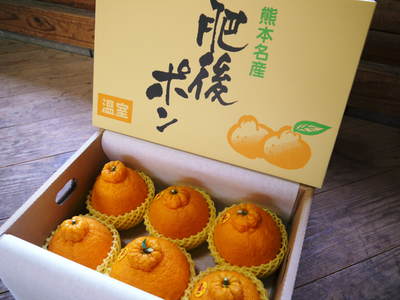 デコポン(肥後ポン) 熊本限定栽培!!樹上完熟デコポン「ひのゆたか」 “特選大玉”の発送スタートす!!_a0254656_18401897.jpg