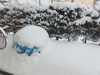 e0004756_2130560.jpg