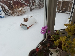 e0004756_21314070.jpg