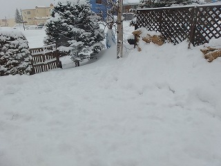 e0004756_21352453.jpg