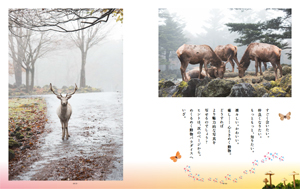 最新号 カメラ日和vol.65 「動物パラダイス」発売!_b0043961_15144517.jpg
