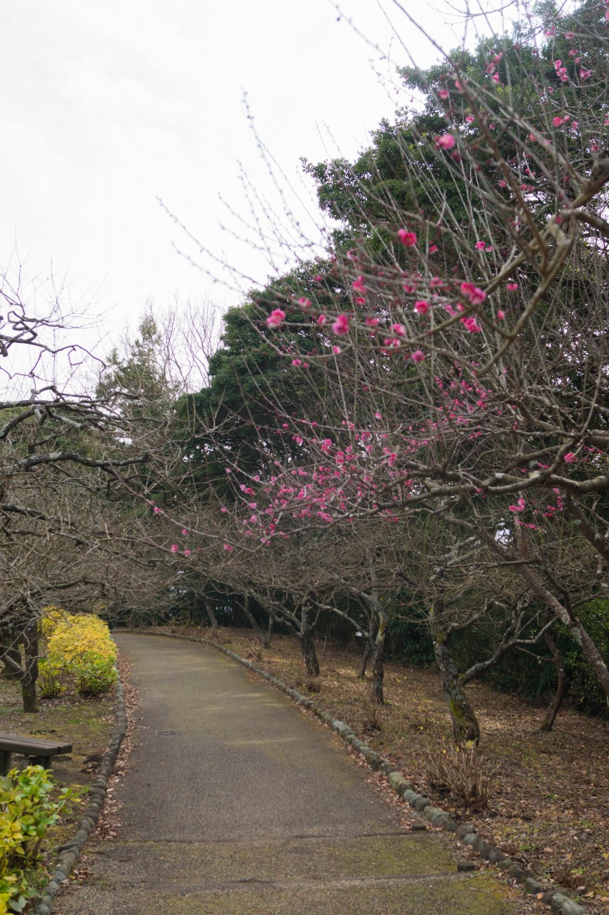 c0260264_172715.jpg