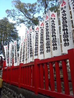 千代保稲荷神社参拝、佐溝屋（さみぞや）のたいやき、玉家のみそ串かつとどて煮_f0112873_153360.jpg