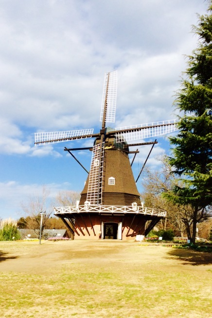 d0147488_20414766.jpeg