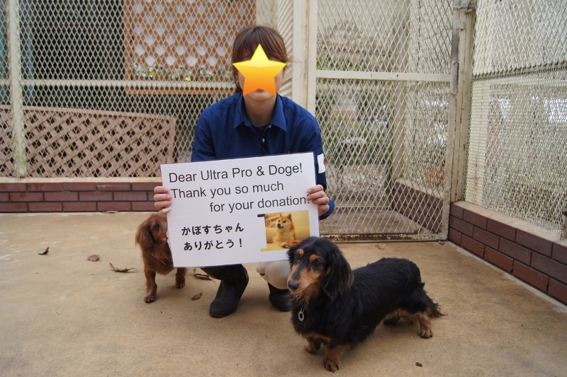 一枚の写真から （日本アニマルトラスト）_a0126590_18384501.jpg