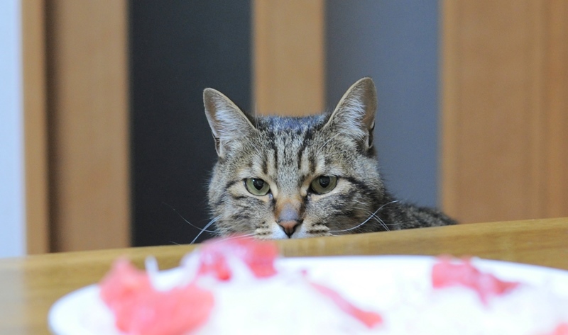 心の叫び_a0126590_23062675.jpg