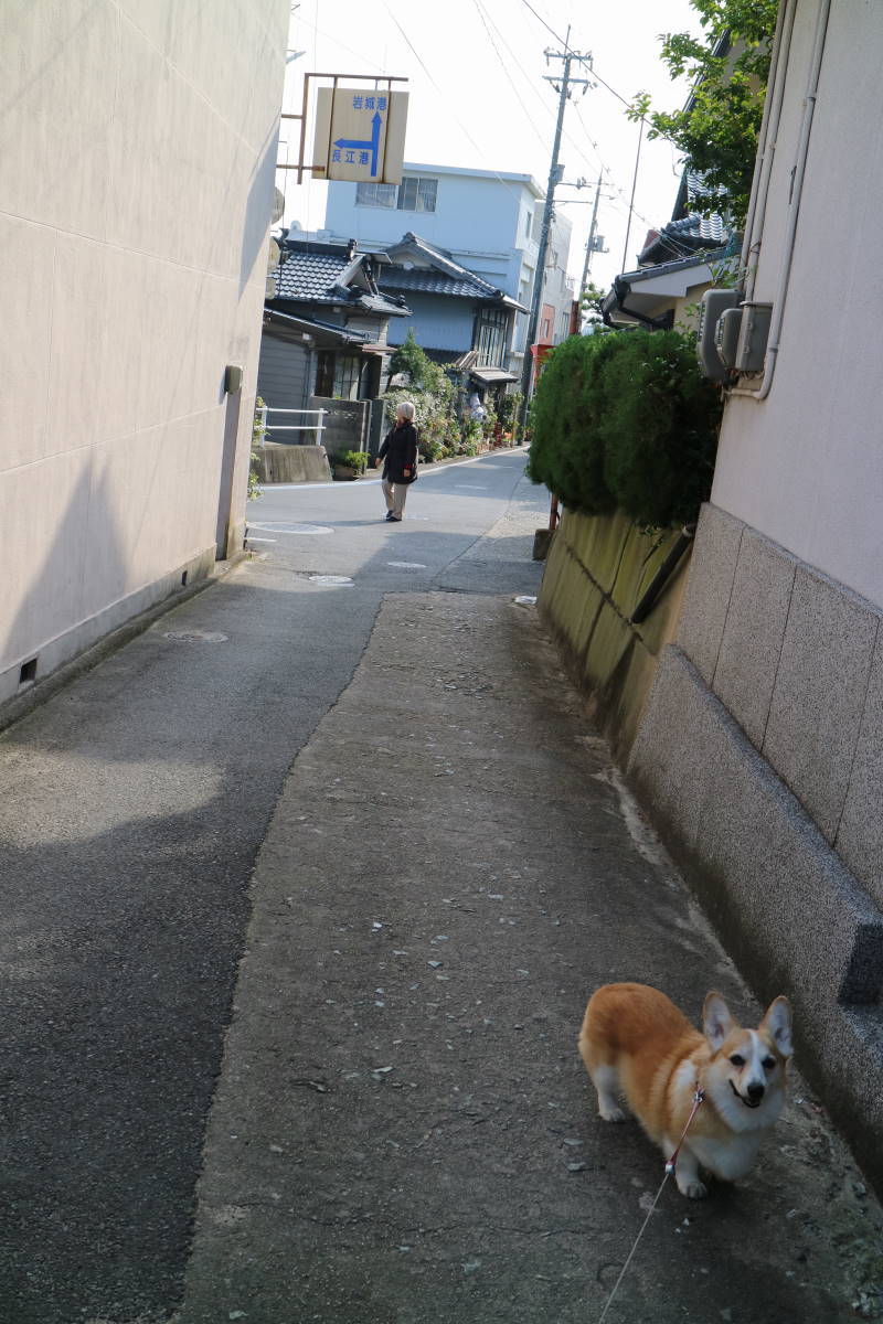 愛媛への旅　その１　岩城島_f0075595_20593029.jpg