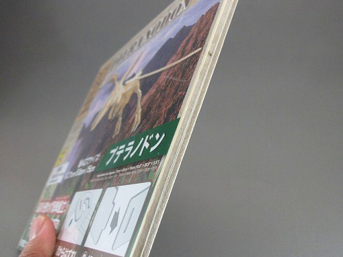 木製3D模型 プテラノドン(ダイソー/100円)_f0205396_10592769.jpg