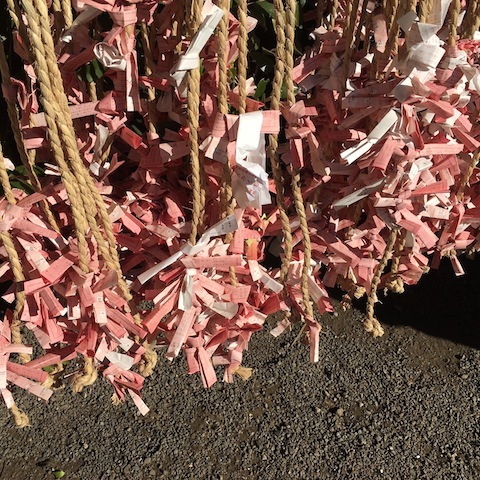 d0343297_10504198.jpeg