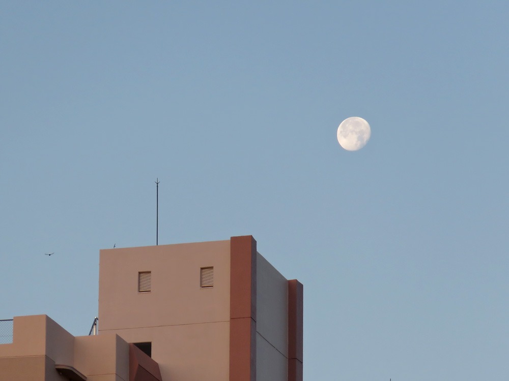 c0049299_2251463.jpg
