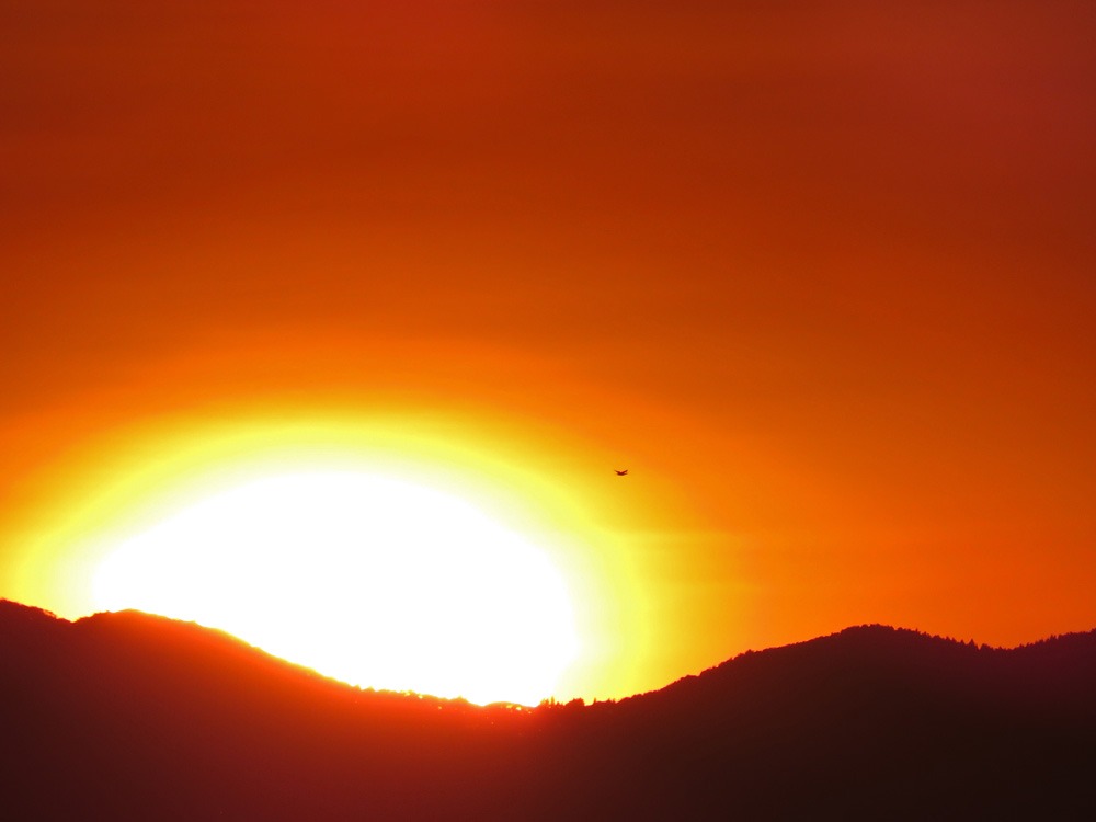 c0049299_2312483.jpg