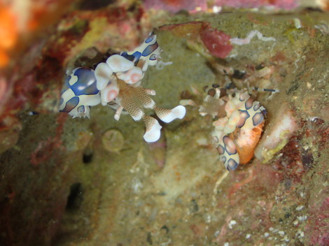 e0115199_16001186.jpg