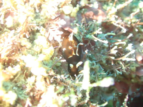 e0115199_16102952.jpg
