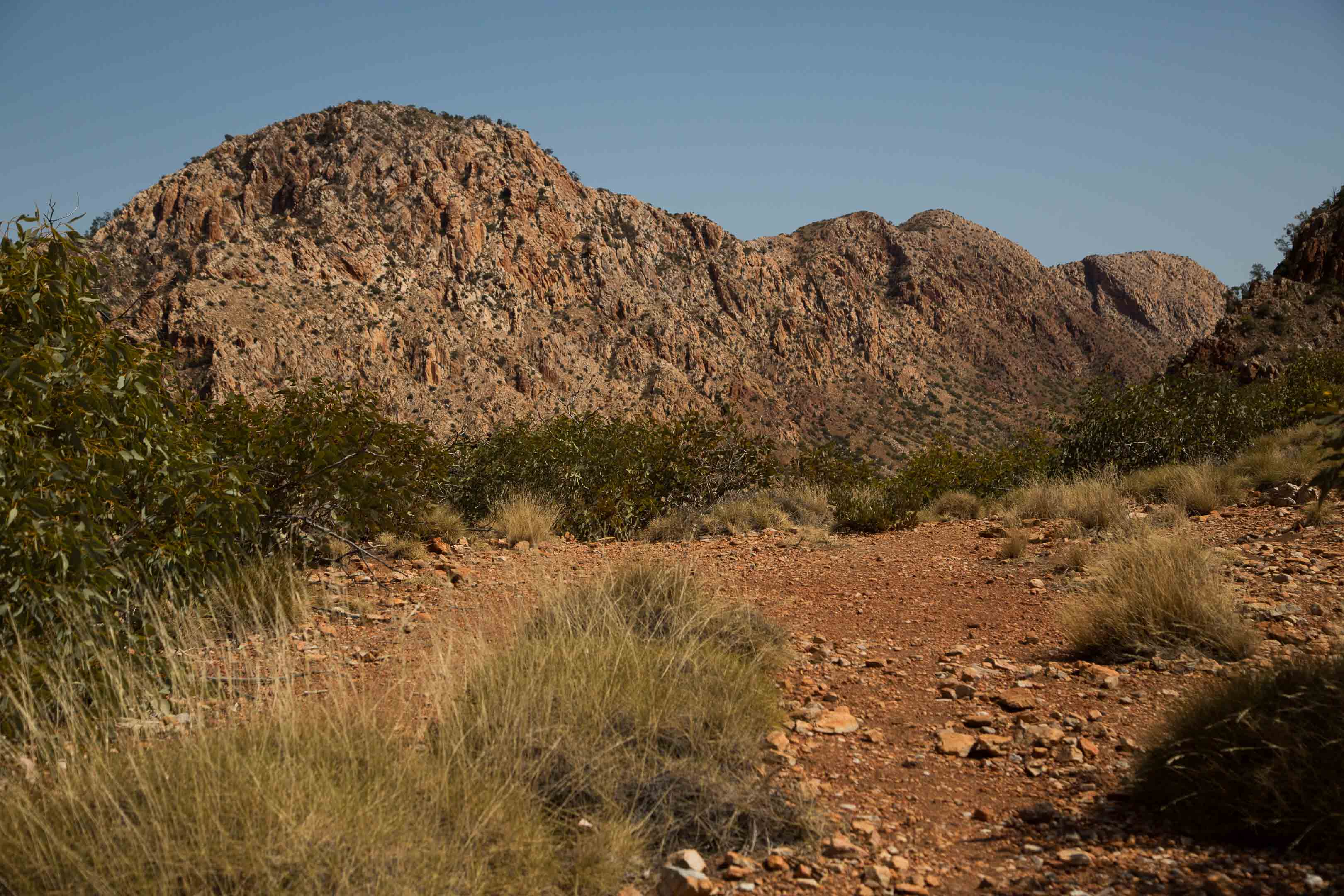 砂漠地帯への旅　22　Larapinta Trail　3日目後半_c0248100_16254524.jpg