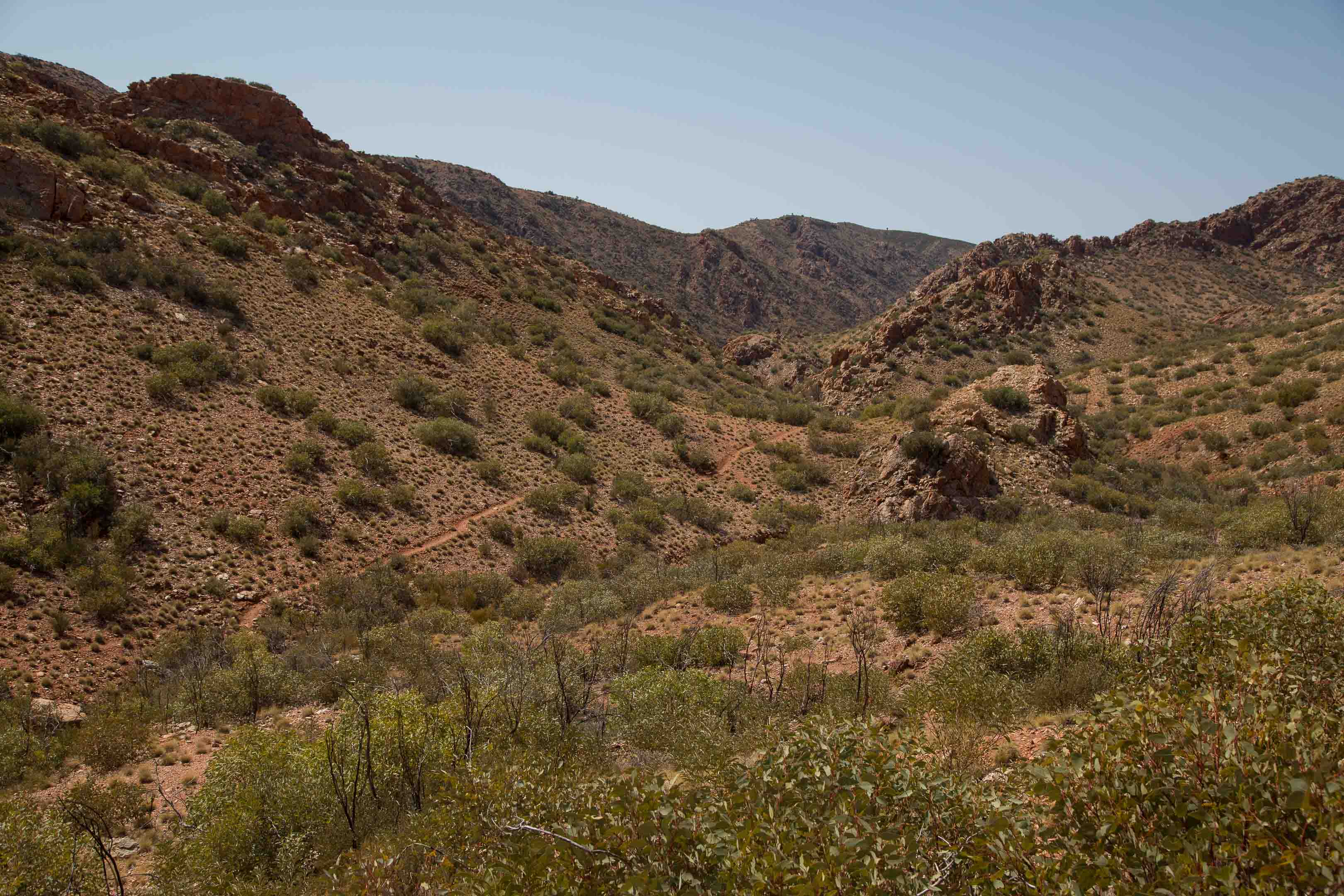 砂漠地帯への旅　22　Larapinta Trail　3日目後半_c0248100_16261338.jpg