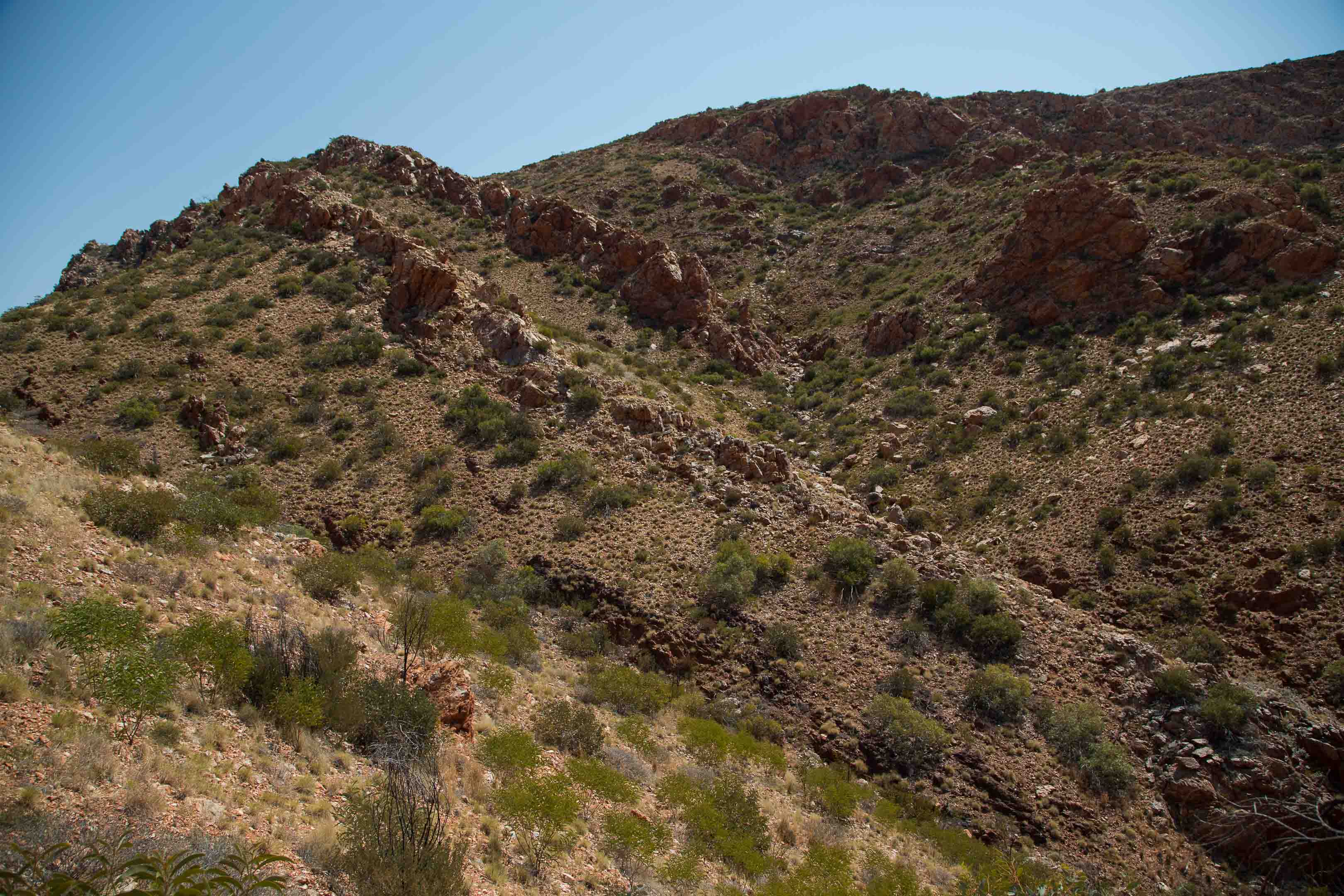 砂漠地帯への旅　22　Larapinta Trail　3日目後半_c0248100_16263489.jpg