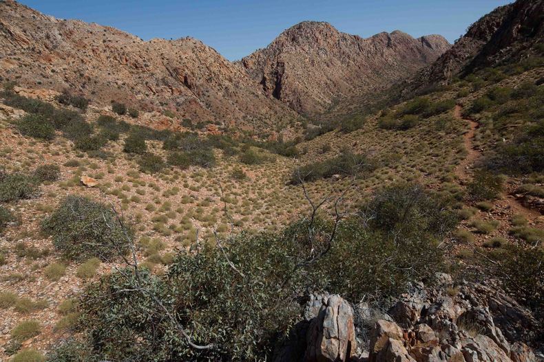 砂漠地帯への旅　22　Larapinta Trail　3日目後半_c0248100_1627182.jpg