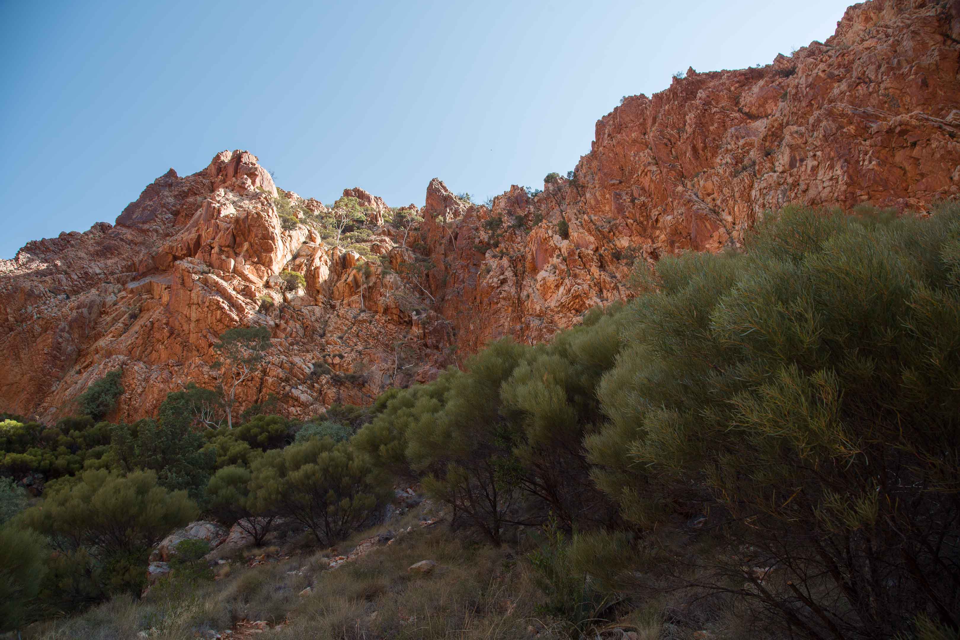 砂漠地帯への旅　22　Larapinta Trail　3日目後半_c0248100_16275783.jpg