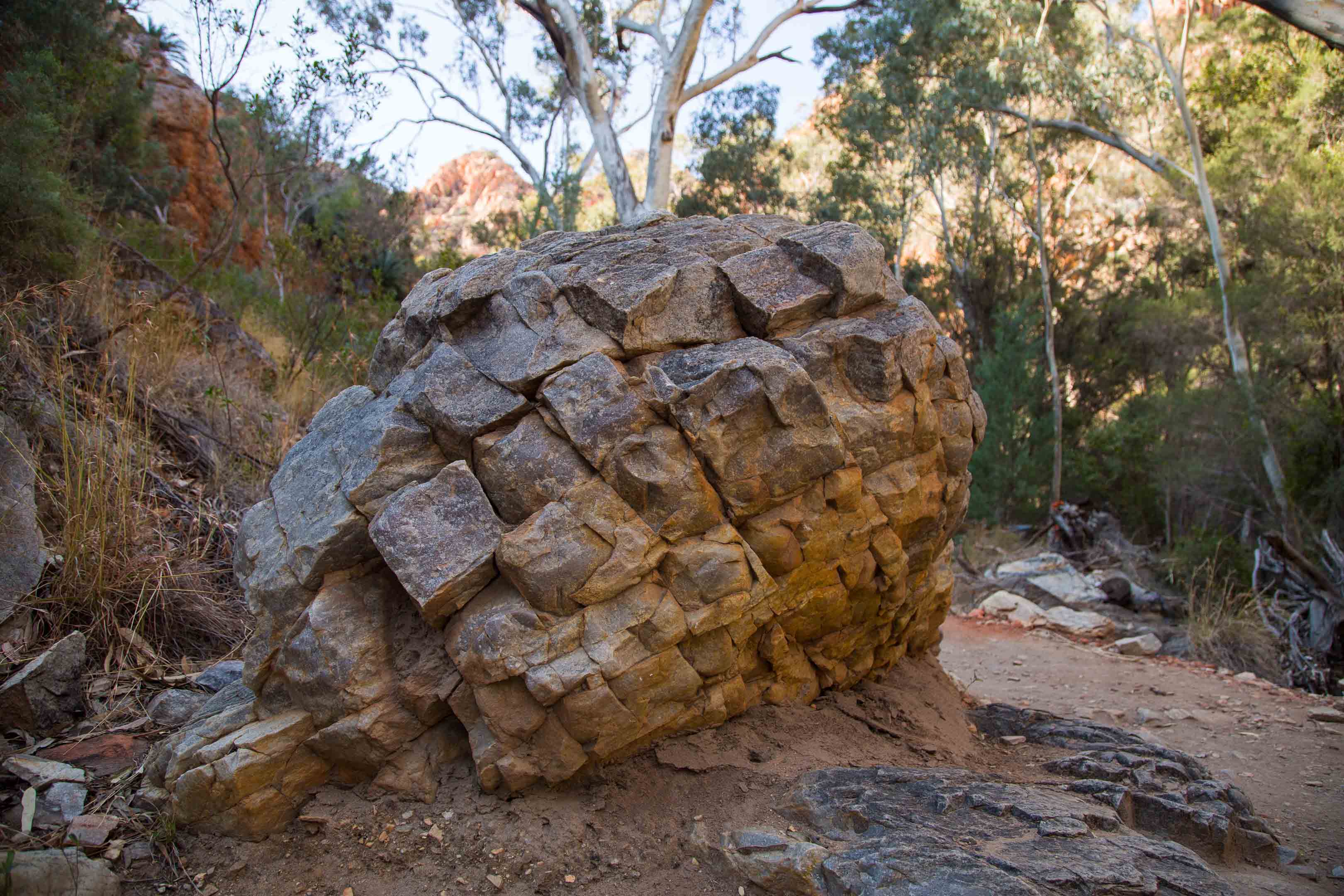 砂漠地帯への旅　22　Larapinta Trail　3日目後半_c0248100_16284571.jpg