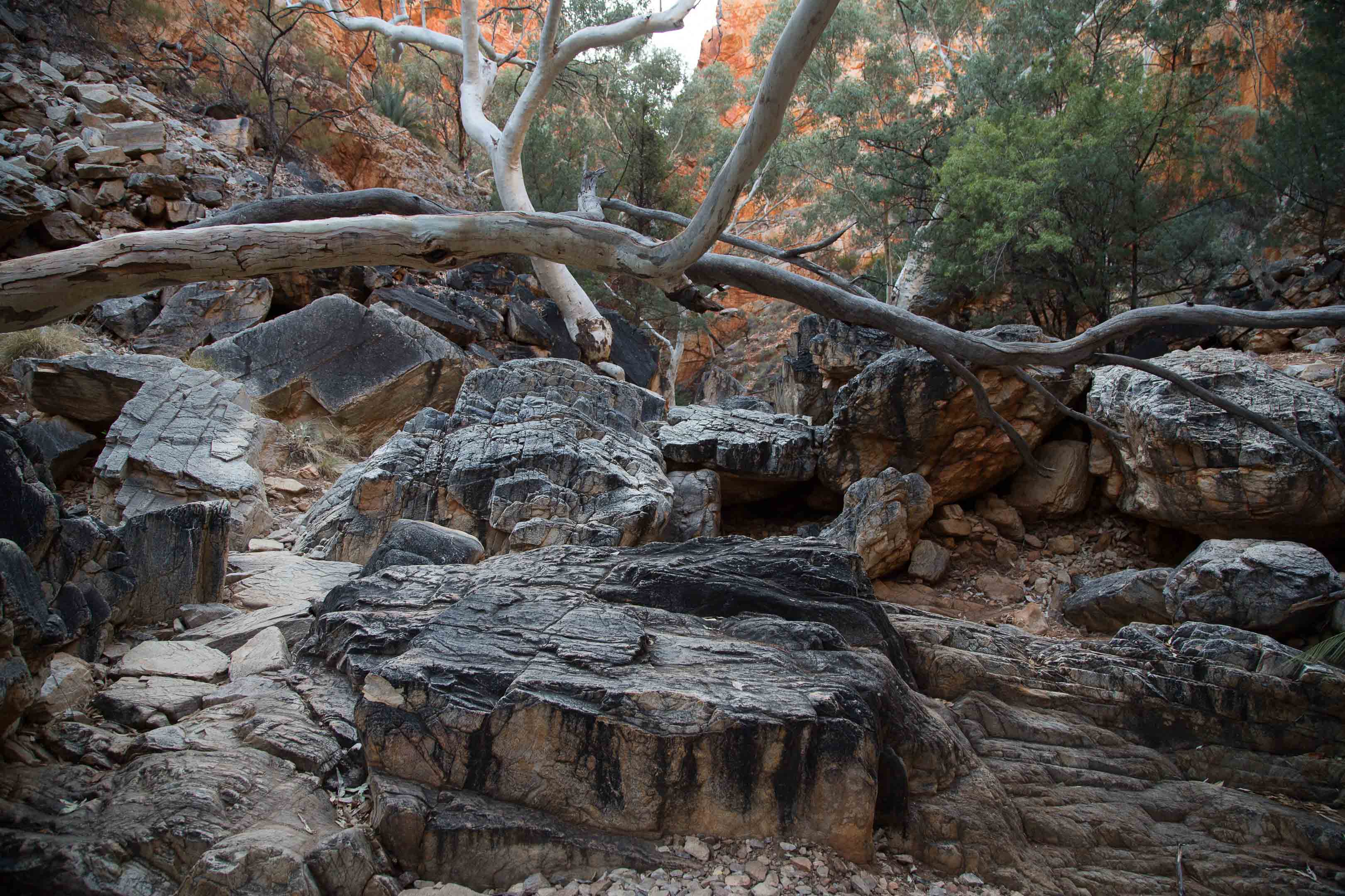 砂漠地帯への旅　22　Larapinta Trail　3日目後半_c0248100_16291818.jpg