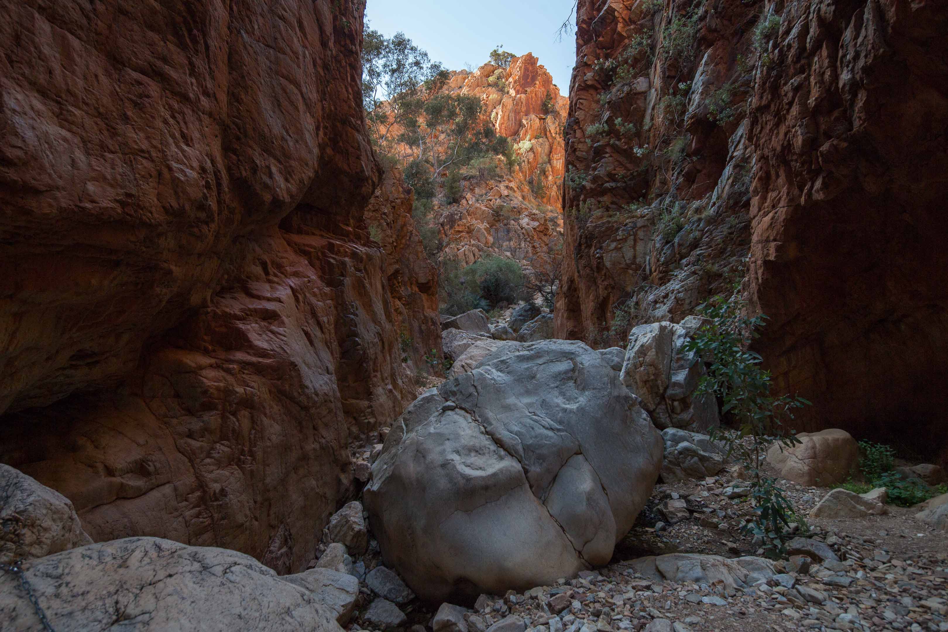 砂漠地帯への旅　22　Larapinta Trail　3日目後半_c0248100_16311772.jpg