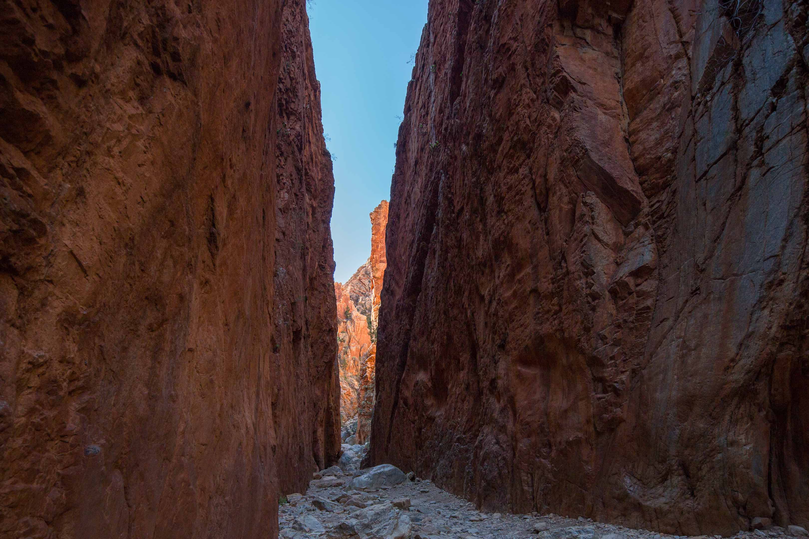 砂漠地帯への旅　22　Larapinta Trail　3日目後半_c0248100_16313317.jpg