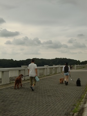 a0134004_22223694.jpg