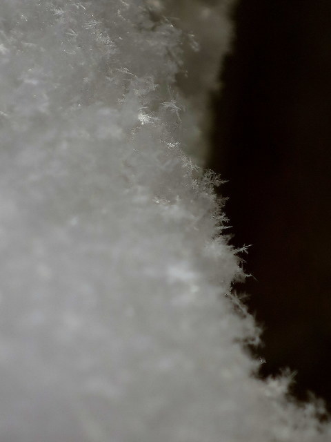 SNOW CRYSTAL_a0214206_11055889.jpg