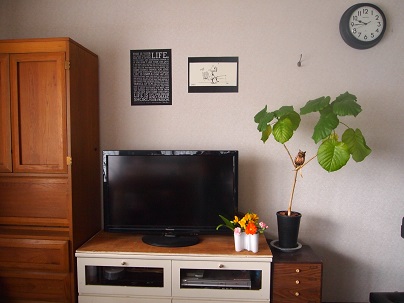 a0240108_20433049.jpg