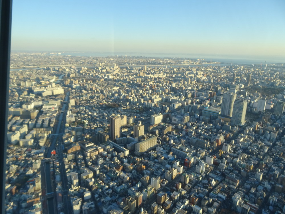 b0052108_20593123.jpg