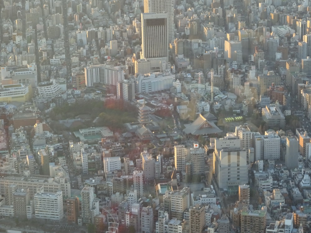 b0052108_214117.jpg
