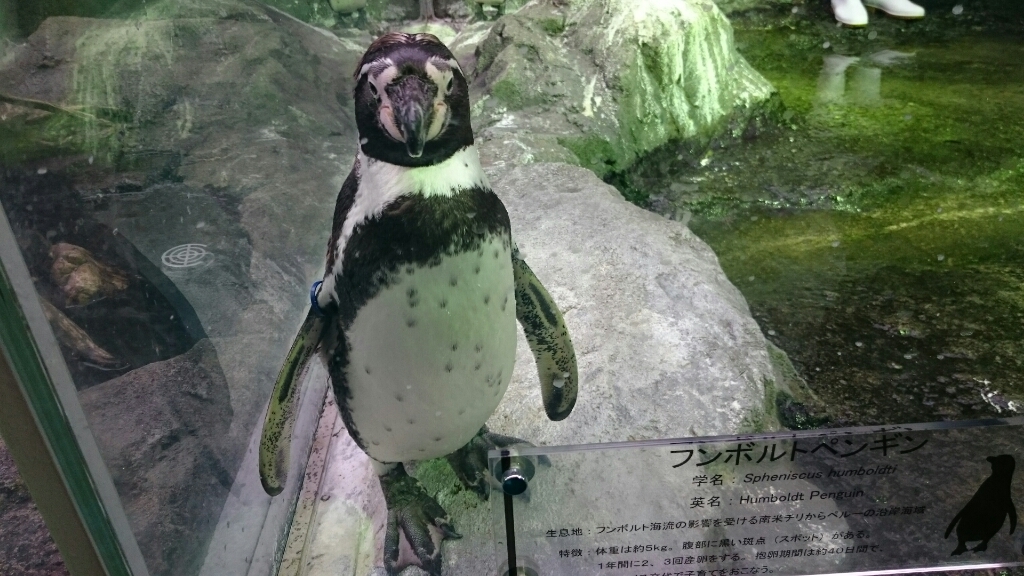 e0278508_05081638.jpg