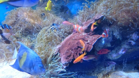 e0278508_05082074.jpg