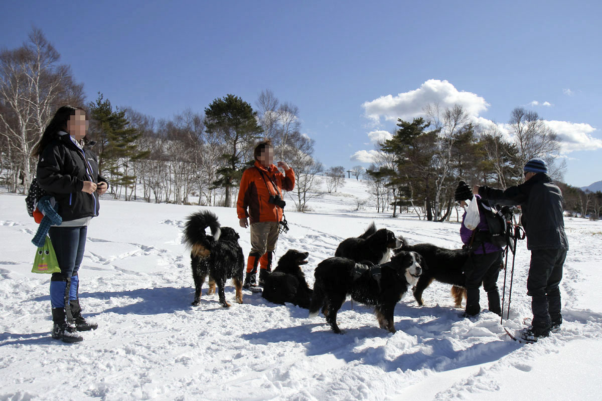 雪がわんさか！_f0137508_15205620.jpg