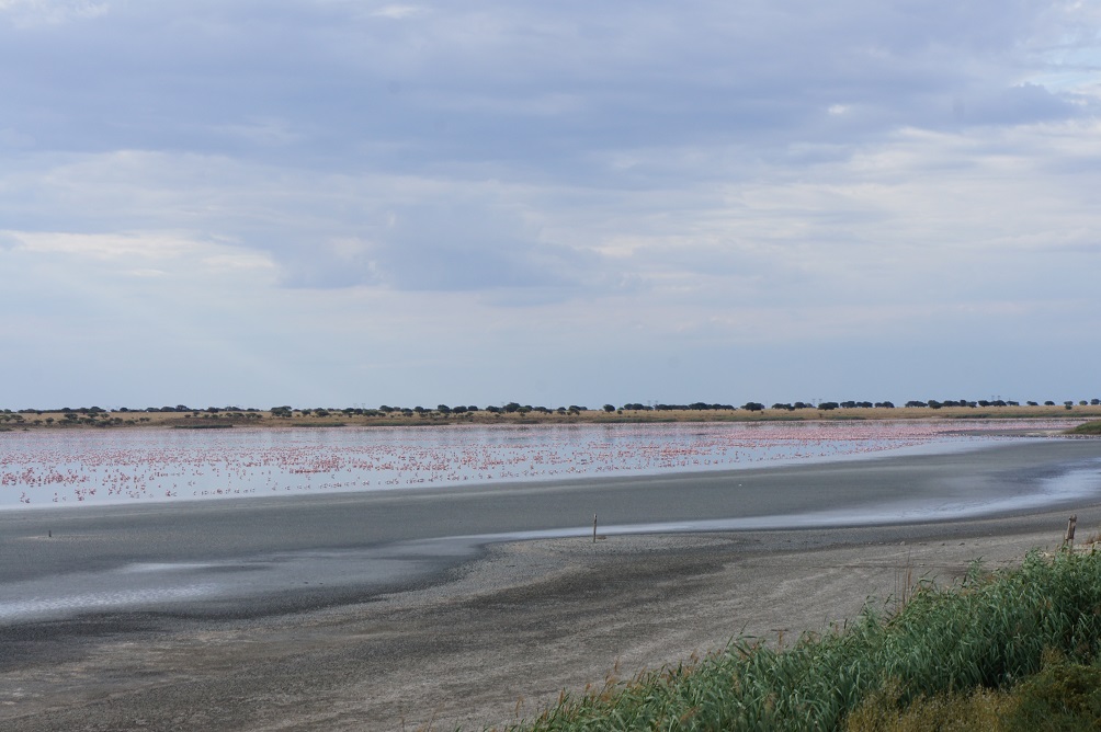 b0112909_14203016.jpg