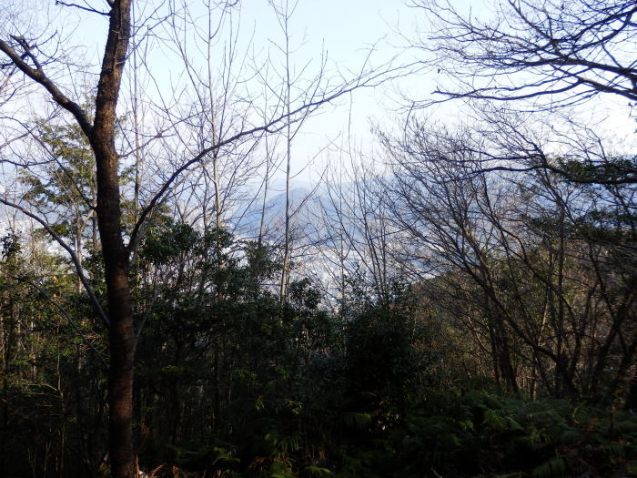 f0219710_13170106.jpg