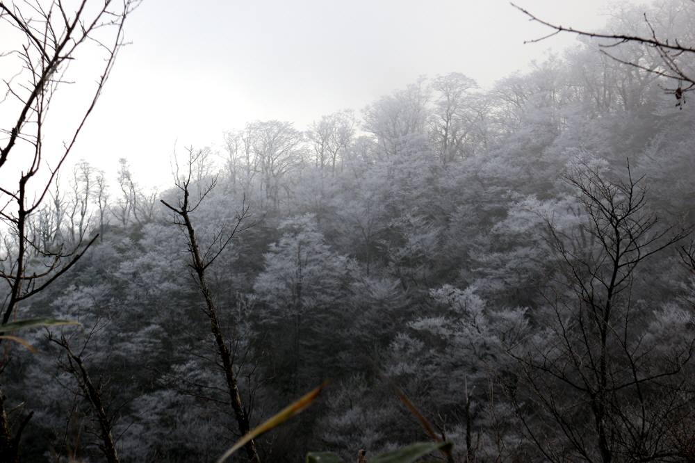 八女市矢部村山系の八名山_f0212511_23585069.jpg