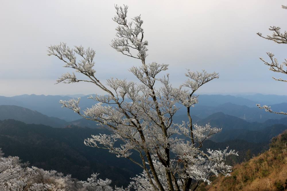 八女市矢部村山系の八名山_f0212511_2359133.jpg