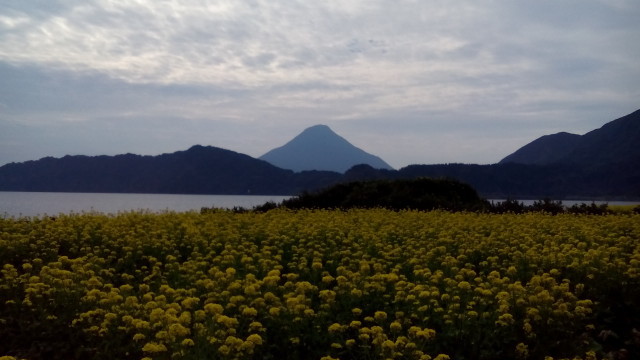 d0006512_00114563.jpg