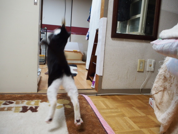 a0206019_22481514.jpg