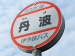 f0213825_112758.jpg
