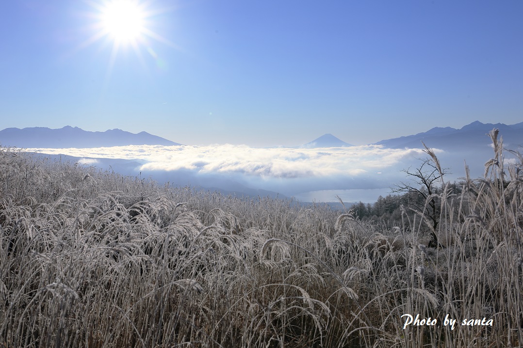 富士山　年末年始紀行_c0201929_7212313.jpg