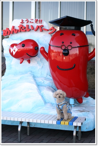 大洗 老舗かねふく めんたいパーク大洗 明太子おにぎり My Toypoodle 大洗 老舗かねふく めんたいパーク大洗 明太子おにぎり My Toypoodle